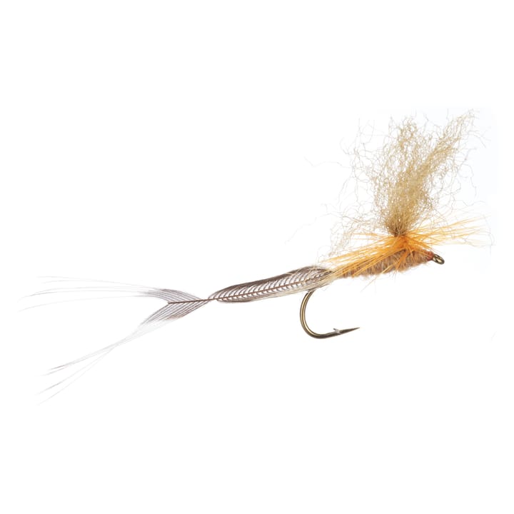 Arcticflies (Tørrflue) Vulgata Arcticflies