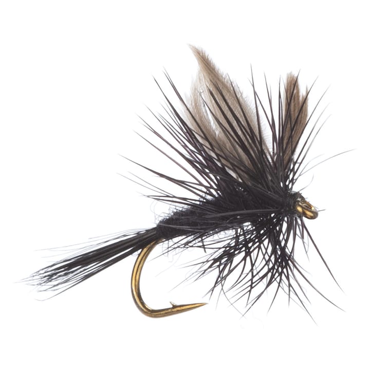 Arcticflies (Tørrflue) Black Gnat Arcticflies