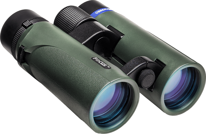 Focus Optics Focus Observer 8x42 HD Green Focus Optics