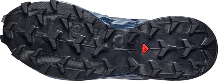 Salomon Women's Speedcross 6 Spellbound/Black/Tradewinds Salomon