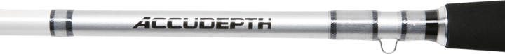 Daiwa Daiwa Accudepth Trolling Daiwa