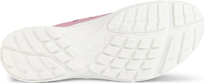 Ecco Women's Terracruise LT Blush/nocturne Ecco