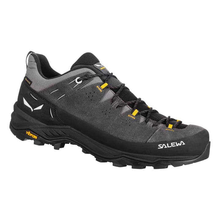 Salewa Men's Alp Trainer 2 Gore-Tex Onyx/Black Salewa