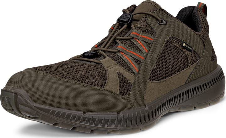 Ecco Men's Ecco Terracruise II Gore-Tex Tarmac/tarmac Ecco
