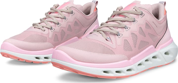 Ecco Women's Ecco Biom 720 Violet Ice/violet Ice/liliac Ciffon Ecco