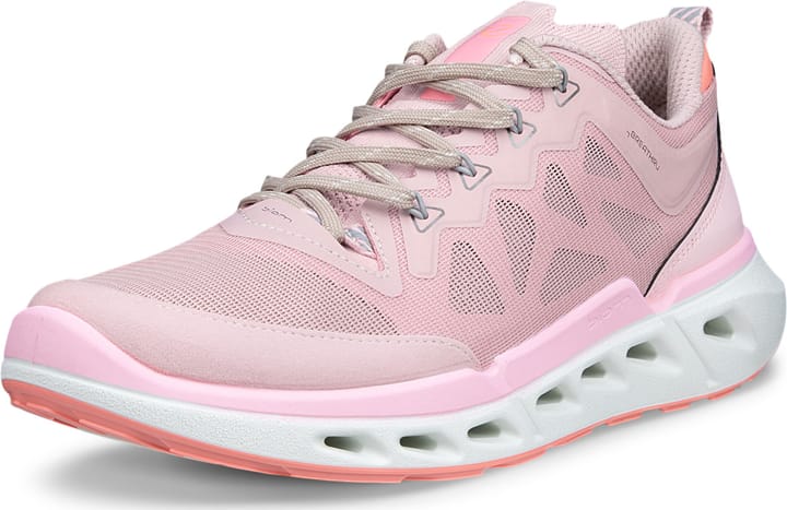 Ecco Women's Ecco Biom 720 Violet Ice/violet Ice/liliac Ciffon Ecco