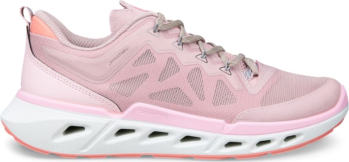 Ecco Women's Ecco Biom 720 Violet Ice/violet Ice/liliac Ciffon Ecco