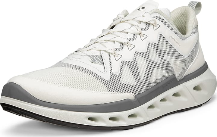 Ecco Men's Ecco Biom 720 White/white/black/white Ecco