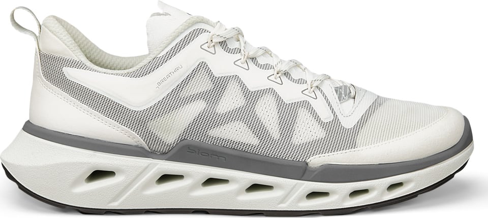 Men's Ecco Biom 720