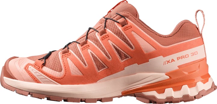 Salomon Women's XA Pro 3d V9 GORE-TEX Pecan Brown / Nectarine / Almond Cream Salomon