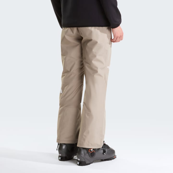 The North Face Men's Descendit Pants Stone Slab The North Face
