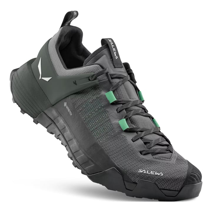Salewa Wildfire Nxt Gtx M Onyx/irish Green Salewa