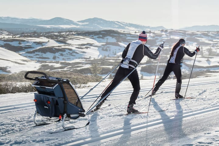 Thule Chariot Cross2 Alaska Thule Thule Chariot Cross2 Alaska Thule