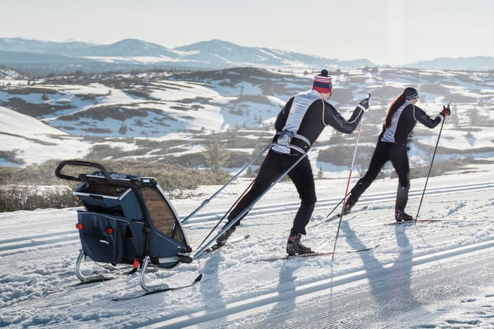 Thule Chariot Cross2 Alaska Thule