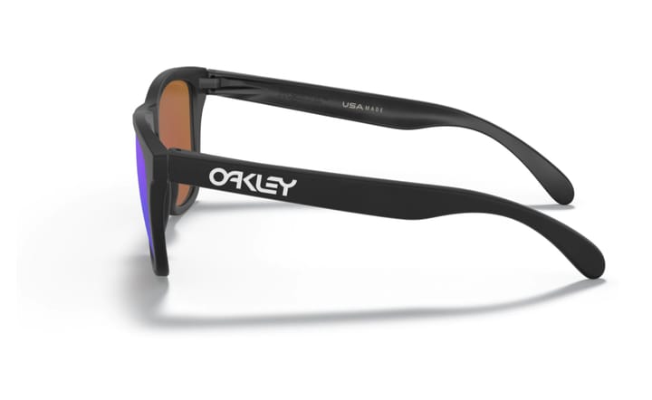 Oakley Frogskins Matte Black/Prizm Violet Oakley