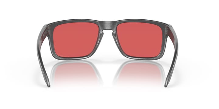 Oakley Holbrook Steel/Prizm Snow Sapphire Oakley Oakley Holbrook Steel/Prizm Snow Sapphire Oakley