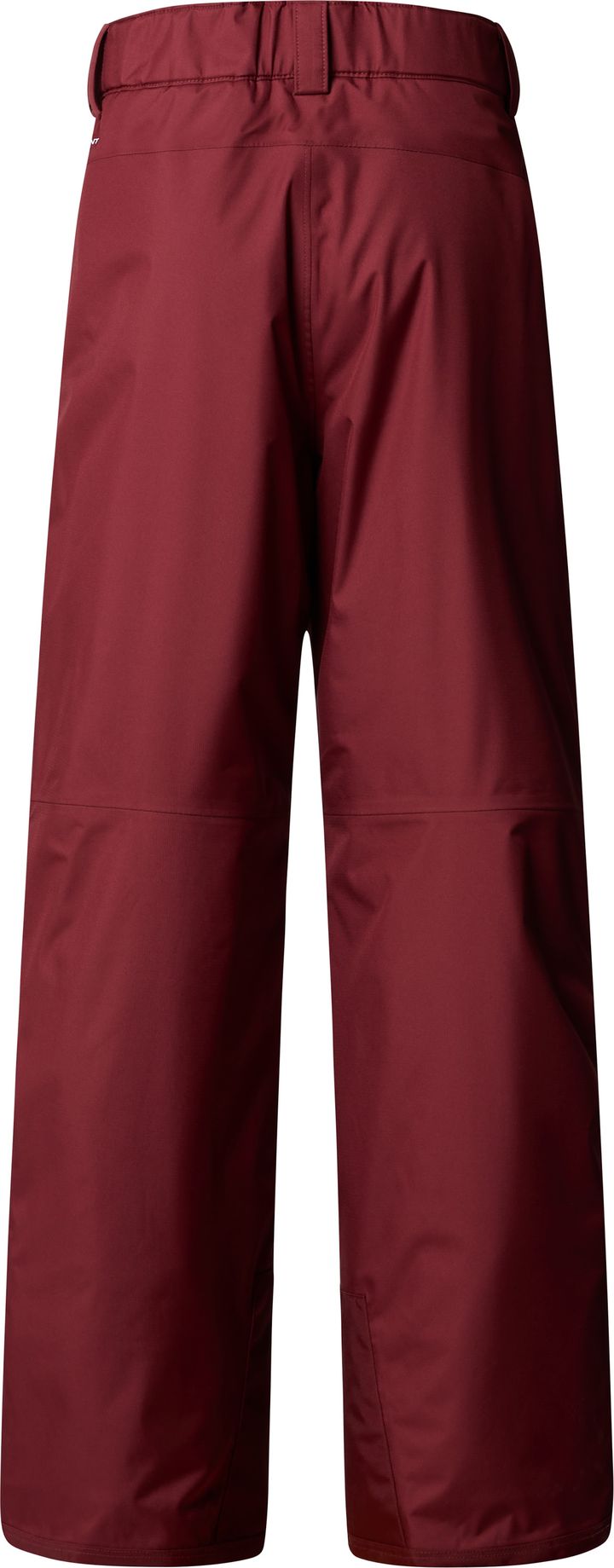 The North Face Boys' Freedom Insulated Pant Sumac The North Face The North Face Boys' Freedom Insulated Pant Sumac The North Face