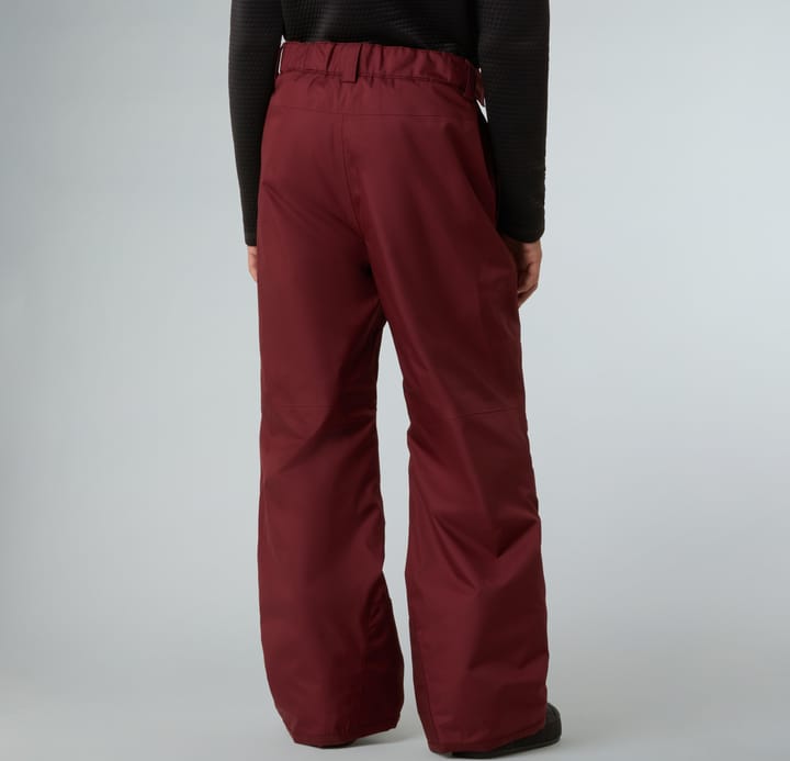The North Face Boys' Freedom Insulated Pant Sumac The North Face The North Face Boys' Freedom Insulated Pant Sumac The North Face