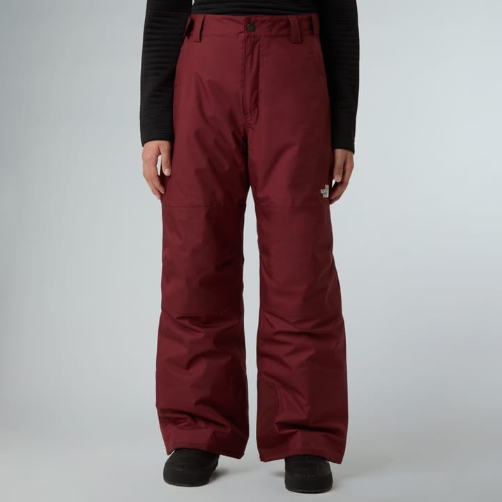 The North Face Boys' Freedom Insulated Pant Sumac The North Face The North Face Boys' Freedom Insulated Pant Sumac The North Face