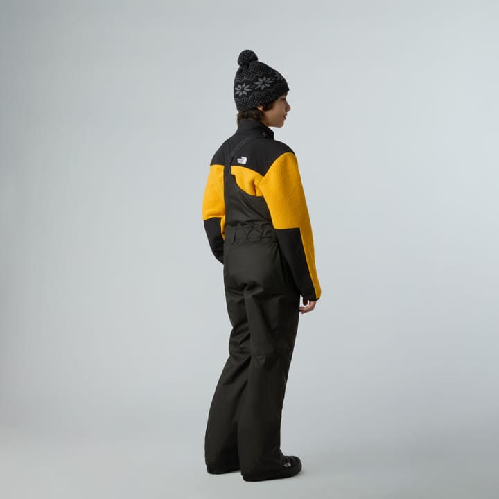 The North Face Teen Freedom Insulated Bib TNF Black The North Face