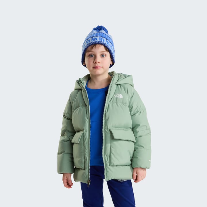 The North Face Kids' North Down Fleece-Lined Parka Slate Moss The North Face