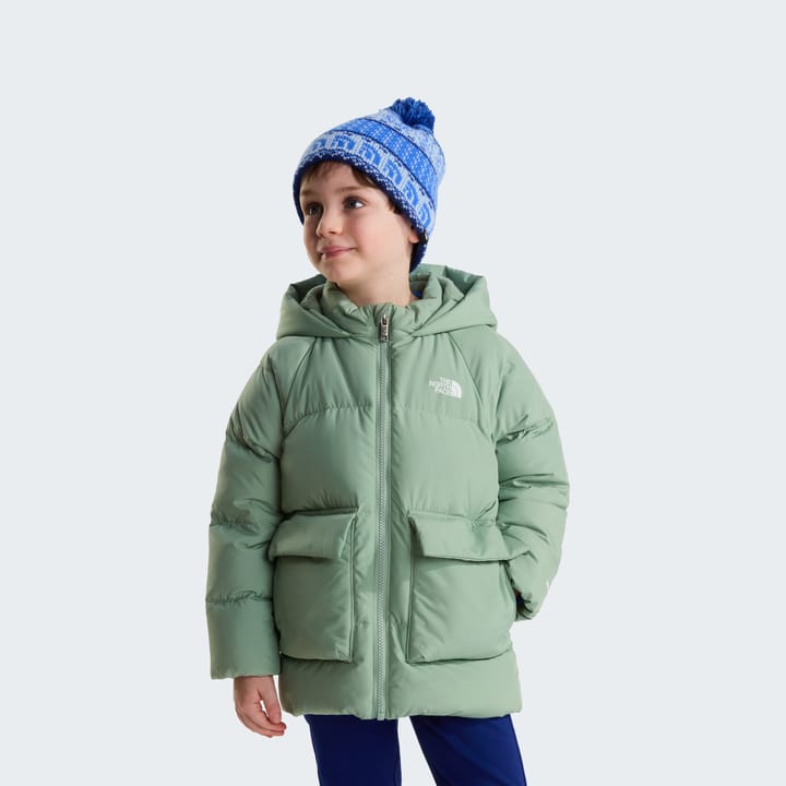 The North Face Kids' North Down Fleece-Lined Parka Slate Moss The North Face