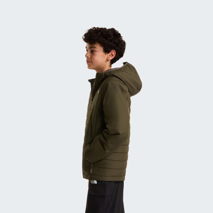 The North Face Boys' Never Stop Synthetic Jacket New Taupe Green The North Face