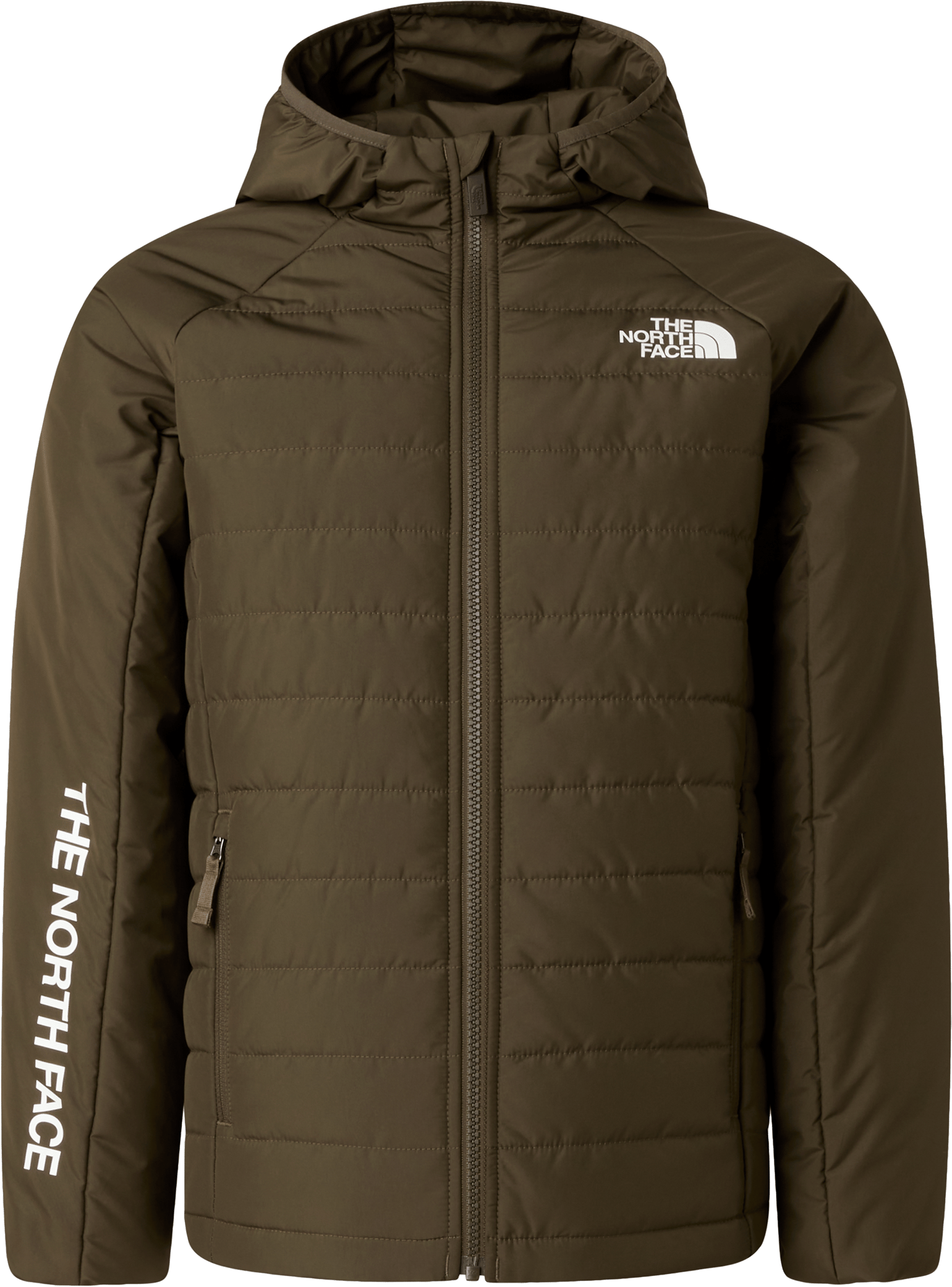 The North Face Boys' Never Stop Synthetic Jacket New Taupe Green