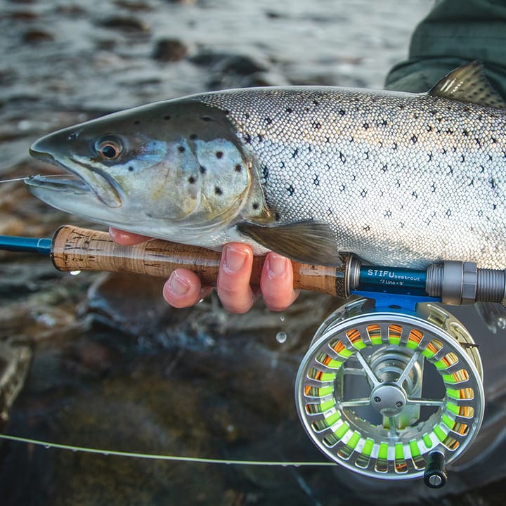 Vision Vision Stifu Seatrout Vision