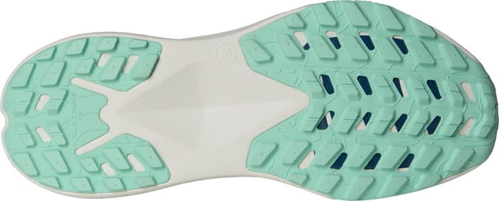 The North Face Women's Altamesa 300 Winslor Blue/Shady Blue The North Face