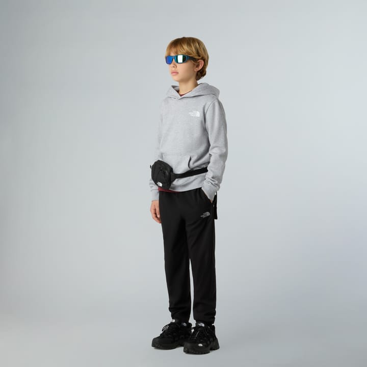The North Face Teens' Simple Dome Hoodie TNF Light Grey Heather The North Face The North Face Teens' Simple Dome Hoodie TNF Light Grey Heather The North Face