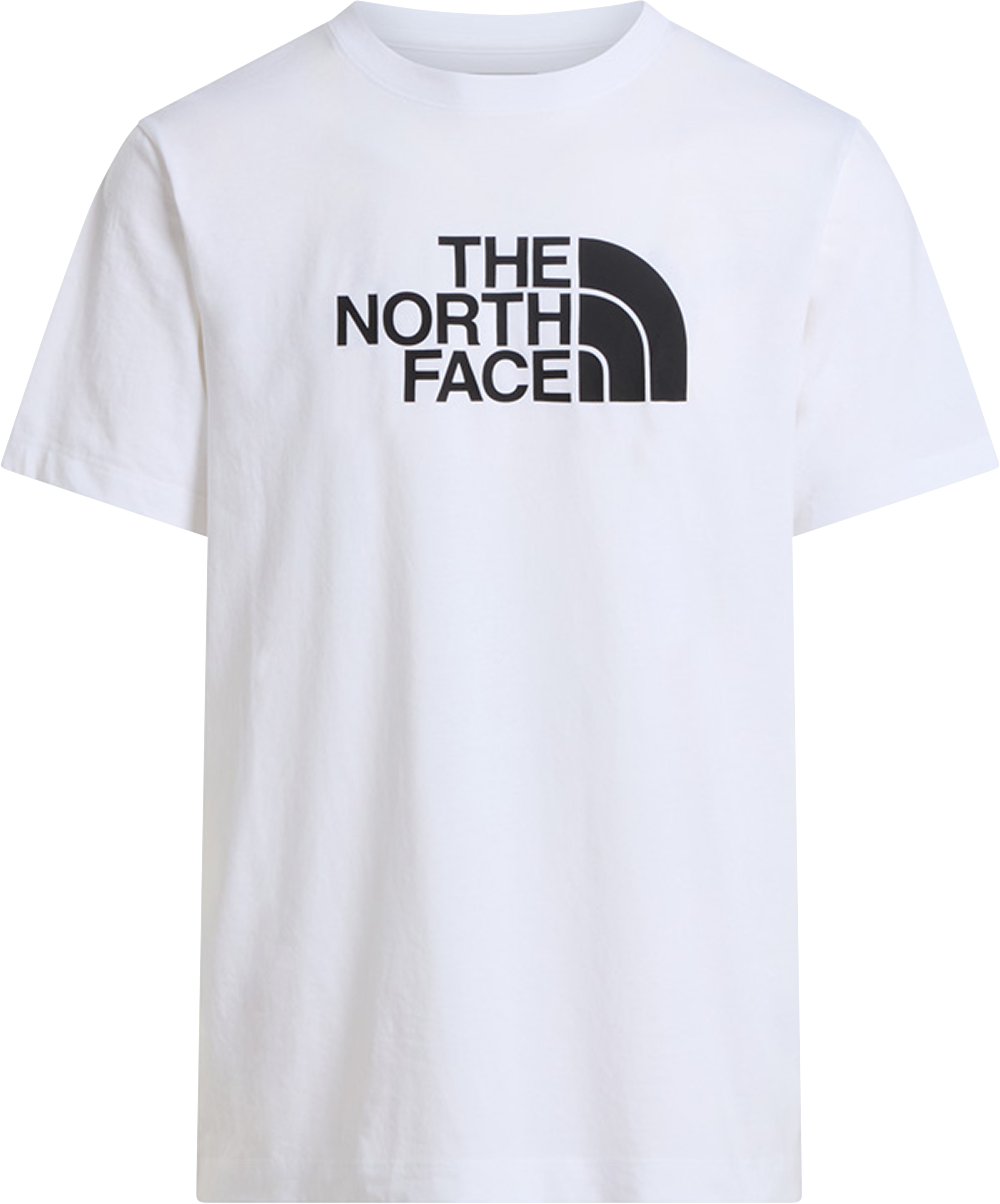 The North Face Men's Evolution Half Dome Regular Short Sleeve T-Shirt
