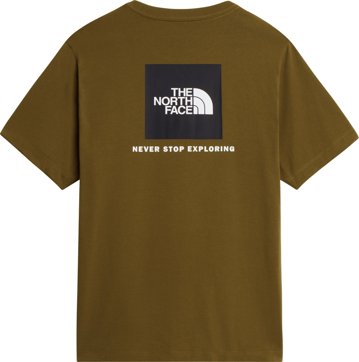 The North Face Men's Evolution NSE Box Regular T-Shirt Caraway Seed The North Face