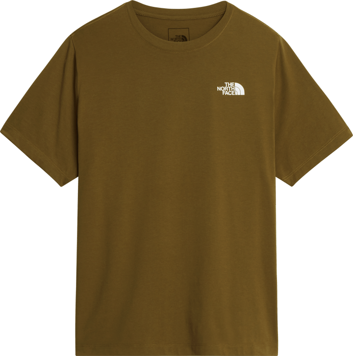 The North Face Men's Evolution NSE Box Regular T-Shirt Caraway Seed The North Face