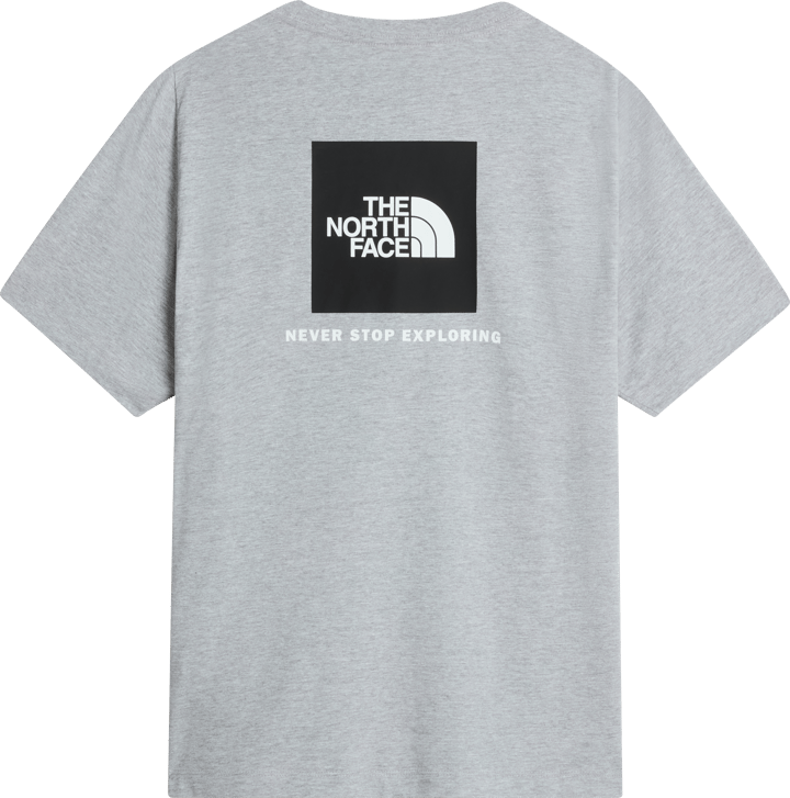 The North Face Men's Evolution NSE Box Regular T-Shirt TNF Pale Grey Heather The North Face