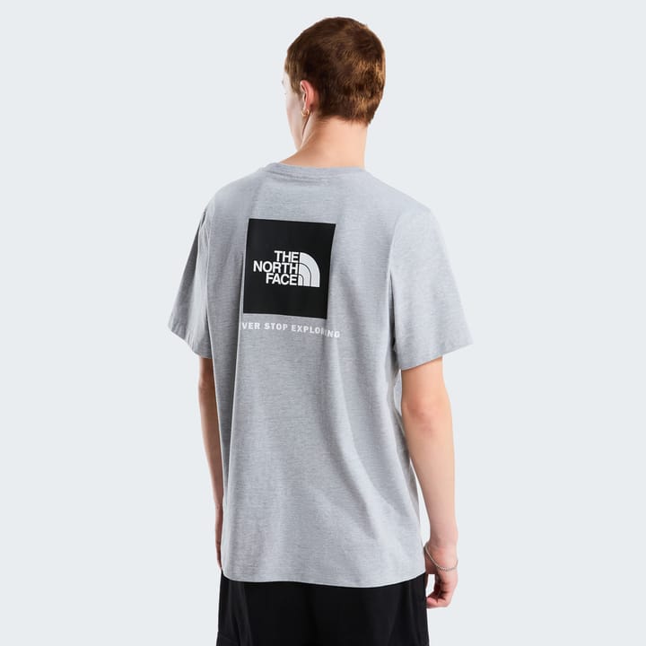 The North Face Men's Evolution NSE Box Regular T-Shirt TNF Pale Grey Heather The North Face