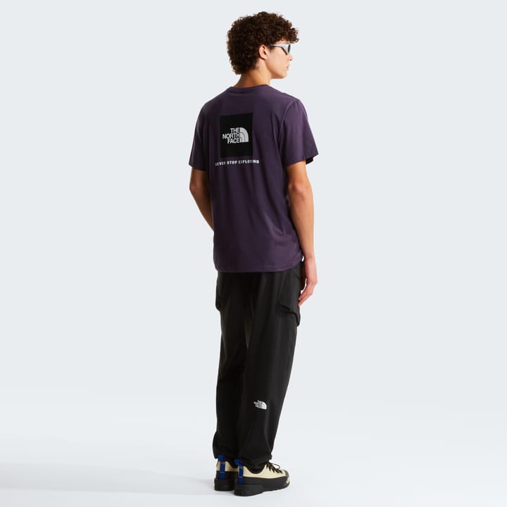 The North Face Men's Evolution NSE Box Regular T-Shirt Endless Dusk The North Face