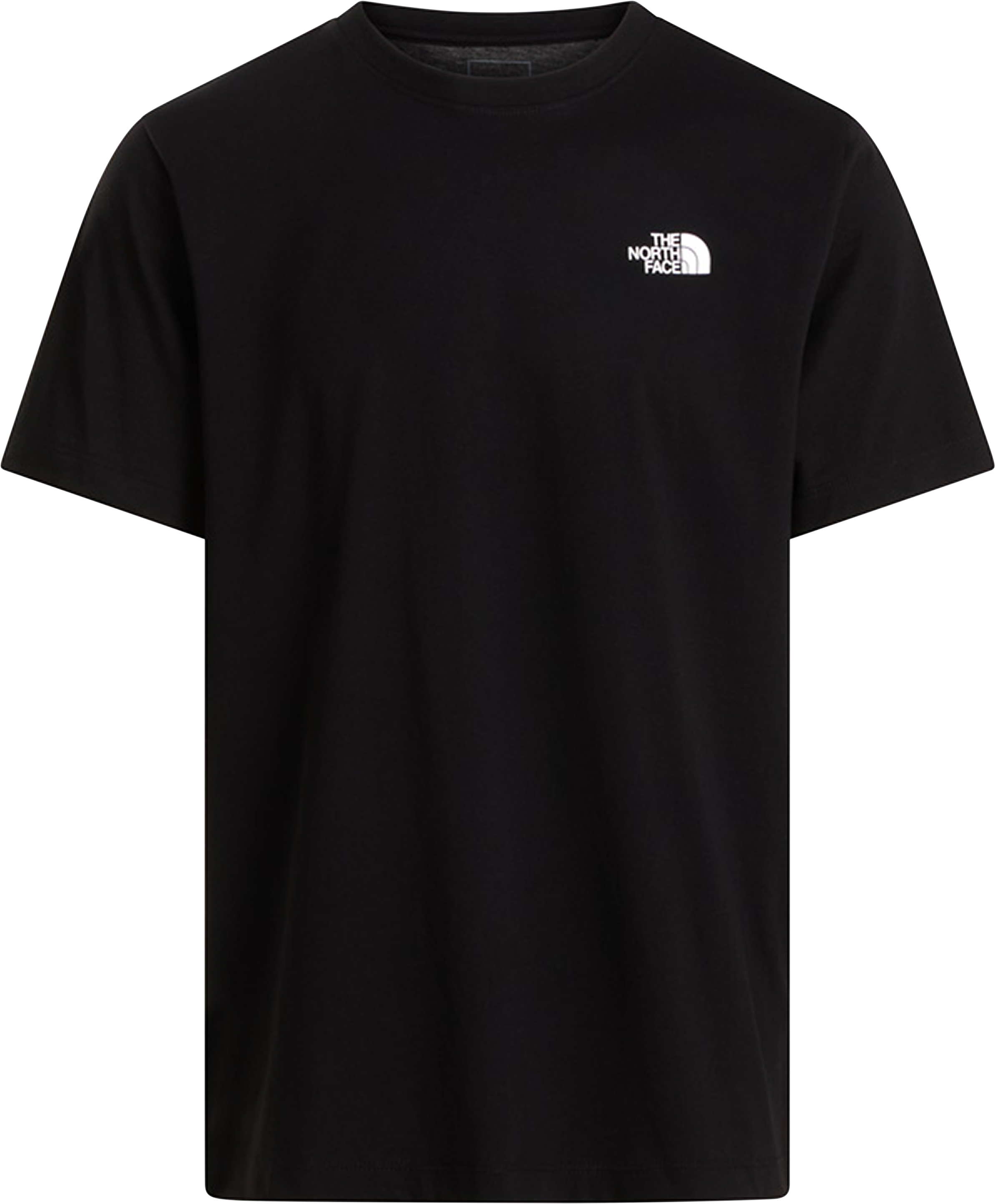 The North Face Men's Evolution NSE Box Regular T-Shirt