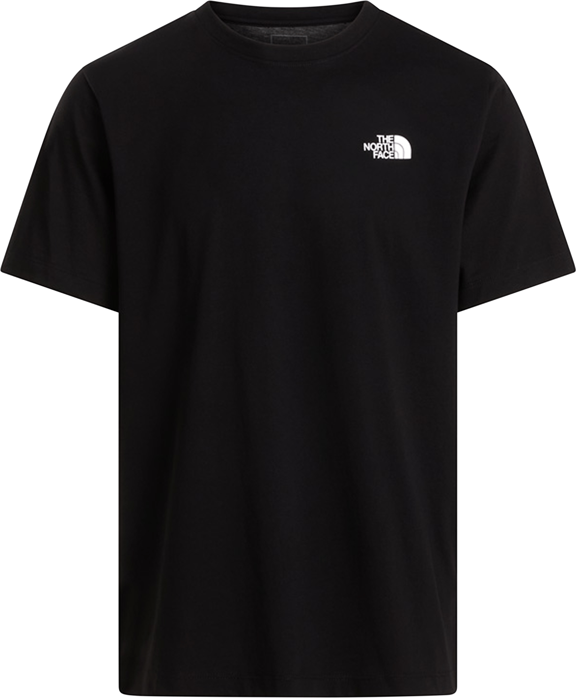 THE NORTH FACE Men's Evolution NSE Box Regular T-Shirt
