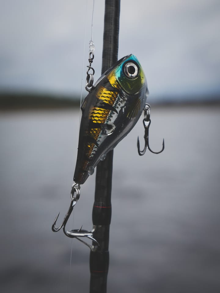 Rapala Rippin Rap Rapala