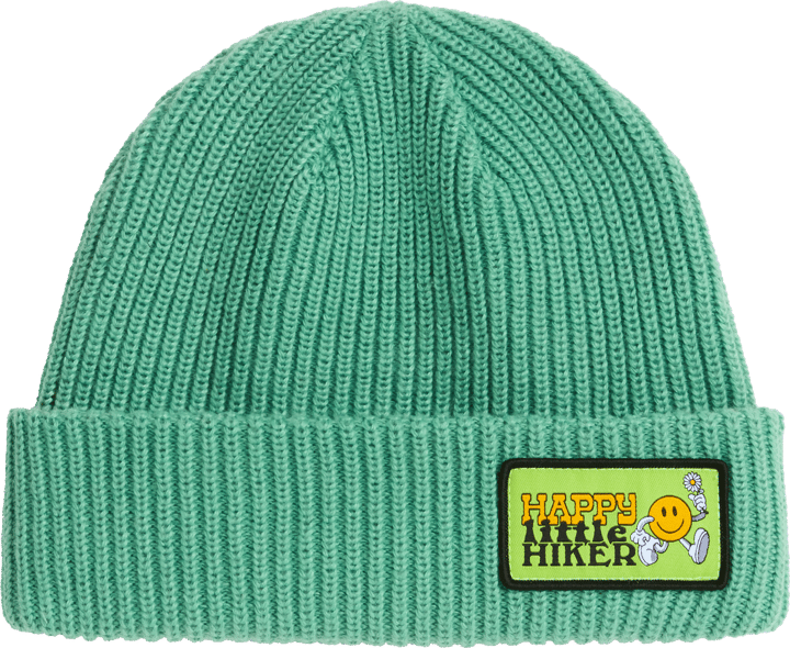 The North Face Kids' Salty Lined Beanie Dimmed Algae/Hike Patch The North Face