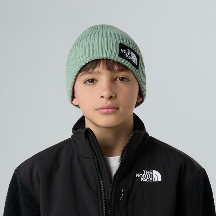 The North Face Kids' TNF Logo Box Cuffed Beanie Slate Moss The North Face The North Face Kids' TNF Logo Box Cuffed Beanie Slate Moss The North Face