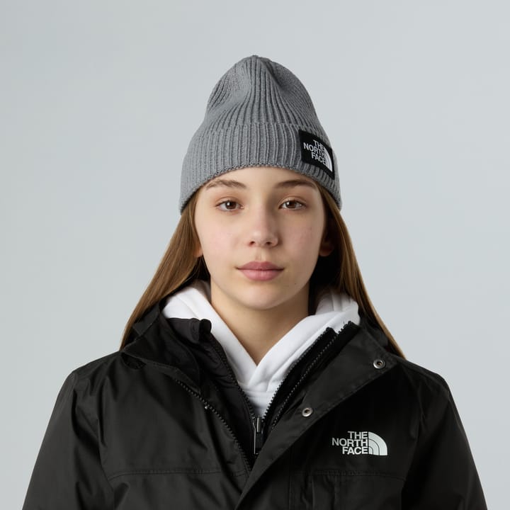 The North Face Kids' TNF Logo Box Cuffed Beanie TNF Medium Grey Heather The North Face