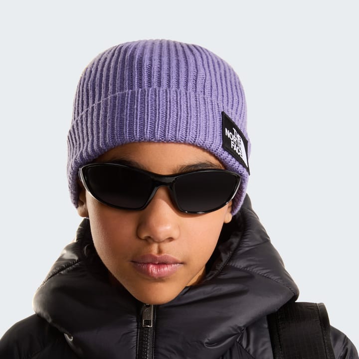 The North Face Kids' TNF Logo Box Cuffed Beanie Grounded Plum The North Face