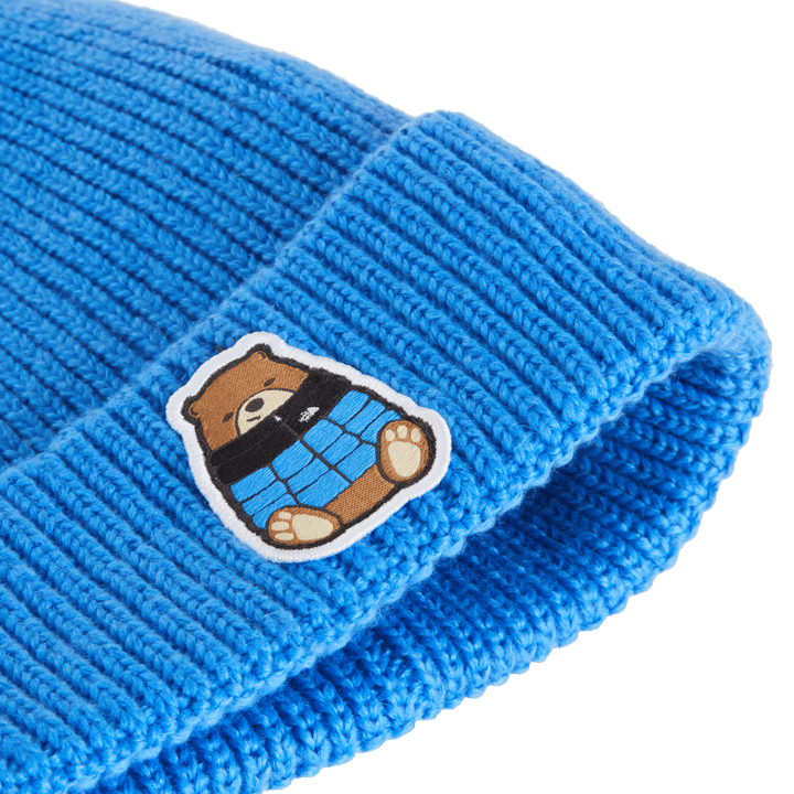 The North Face Kids' TNF Logo Box Cuffed Beanie Active Blue/Nuptse Bear Patch The North Face