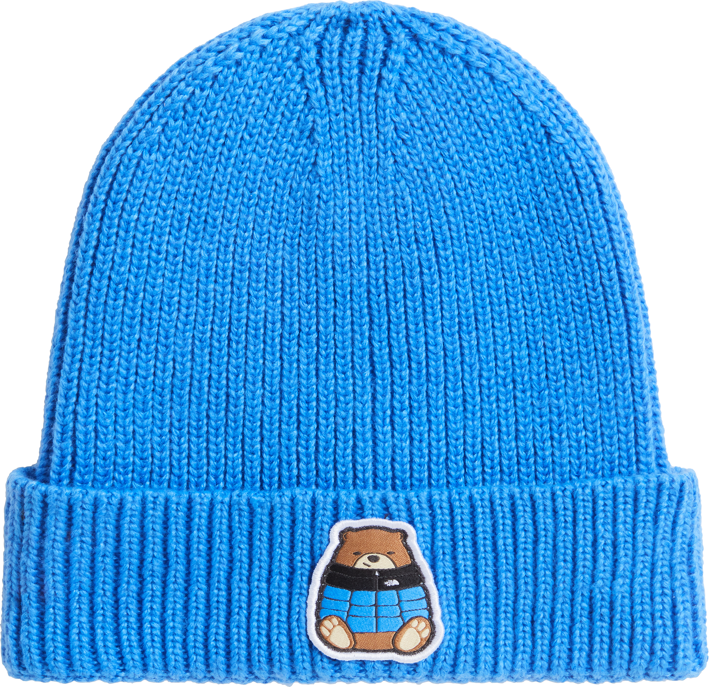 Active blue/nuptse bear patch