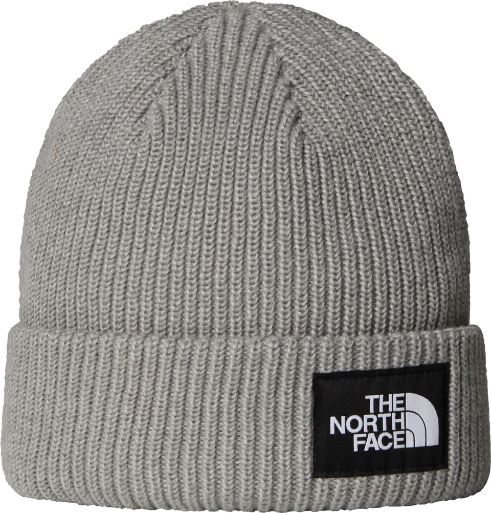Salty Lined Beanie