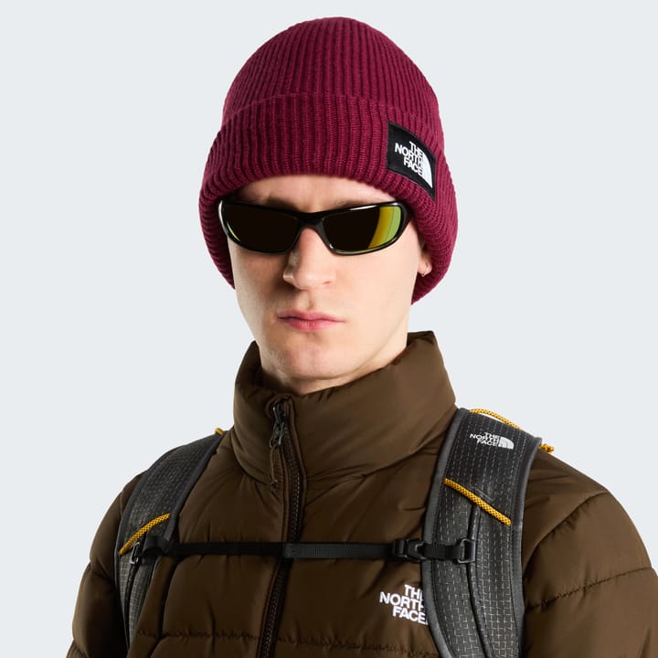 The North Face Salty Lined Beanie Burgundy Crush The North Face