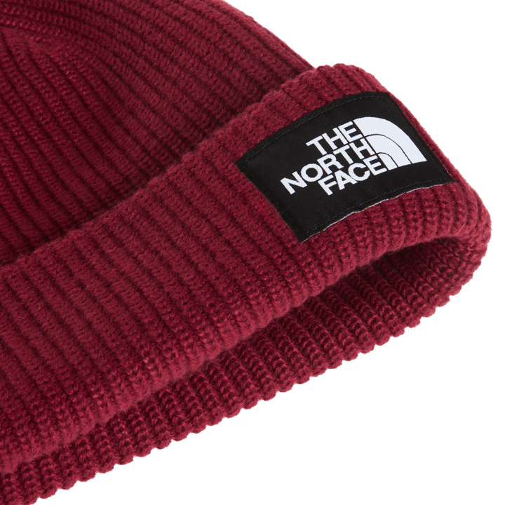 The North Face Salty Lined Beanie Burgundy Crush The North Face