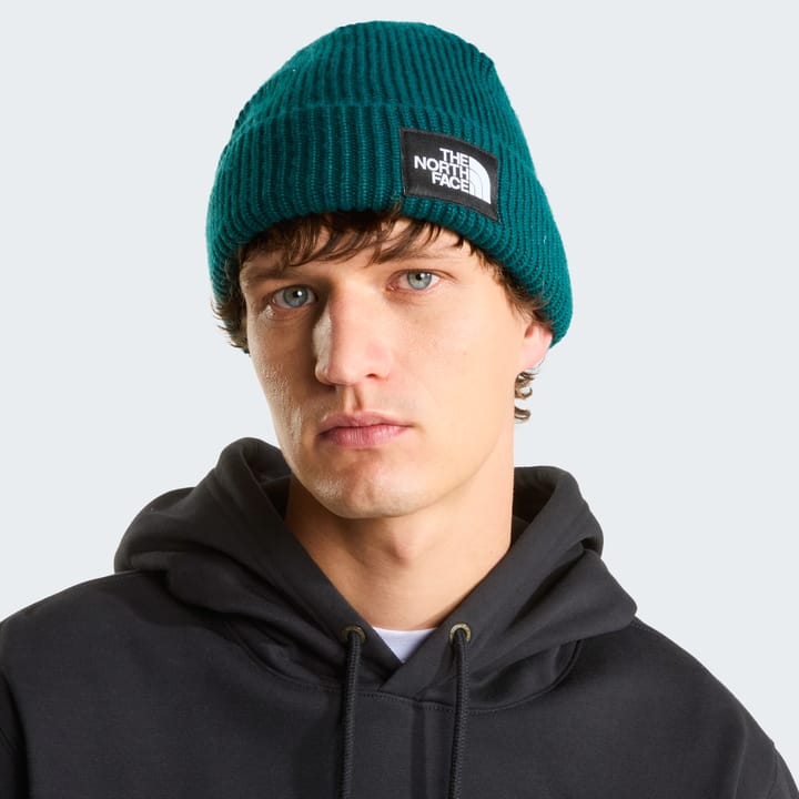 The North Face Salty Lined Beanie Pacific Teal The North Face